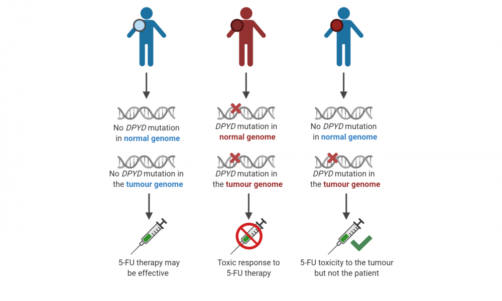 Genome Sequencing Helps Prioritize Cancer Treatment Options | Genome ...